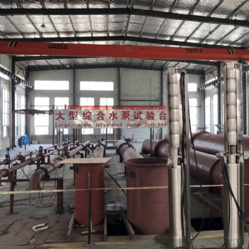 大型不銹鋼水泵生產(chǎn)廠家深井泵可礦用，溫泉，農(nóng)田灌溉，海水