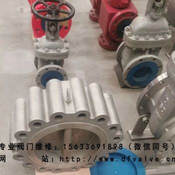 專業(yè)閥門維修 對夾止回閥維修