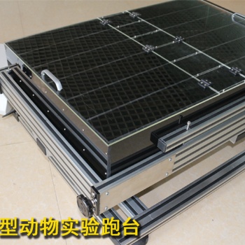 小動(dòng)物跑臺(tái) 動(dòng)物跑步機(jī) 大鼠實(shí)驗(yàn)跑臺(tái)