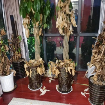 新市鎮(zhèn)工廠搬家可上門包裹