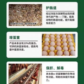 解毒提免護腸增蛋功能性營養型家禽飼料添加劑