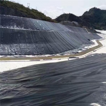 山東廠家高密度聚乙烯土工膜水產養殖畜牧養殖土工膜