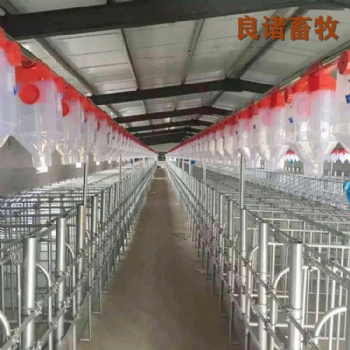 加工定制 育肥豬舍喂料設備 自動化料線 養豬自動料線 上料養豬料線