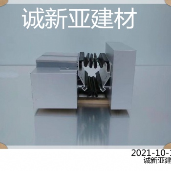 肇慶市 誠新亞雙列鉗平型變形縫安裝方法