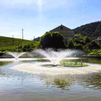 如克環保 RPQ 噴泉曝氣機 景觀花式噴泉