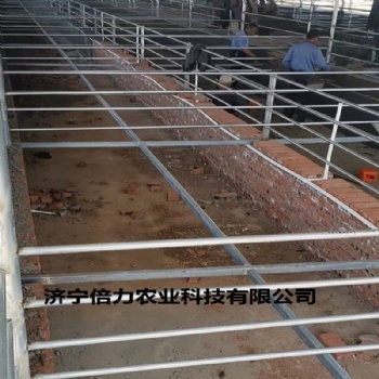 羊用輸送帶自動清糞機