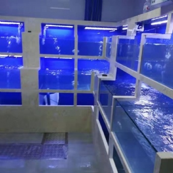 保定徐水鑫德龍水族私人訂制酒店海鮮池