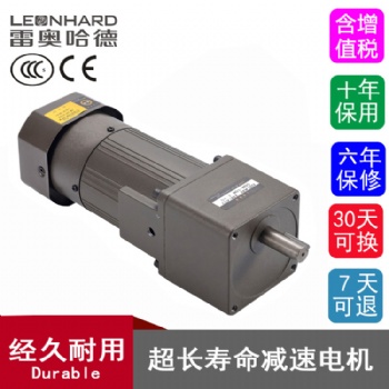 雷奧哈德180W微型減速電機3-180比廠家直供