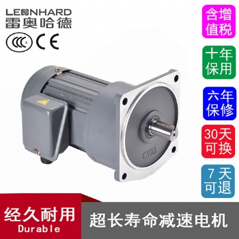 雷奧哈德 100W200W400W750W1500W2200W3700W立式臥式中型齒輪減速電機(jī) 廠