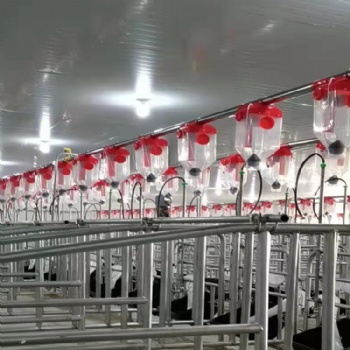 種豬場自動飼喂料線篩盤料線養豬設備