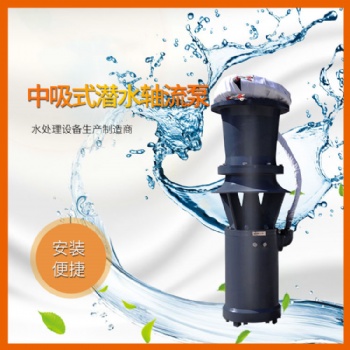 中吸式潛水軸流泵型號參數(shù)體積小流量大安裝方便 廠家** 取排水用