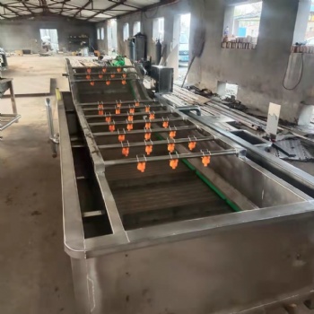 出售不銹鋼氣泡清洗機蔬果多功能氣泡清洗機小龍蝦氣泡清洗機