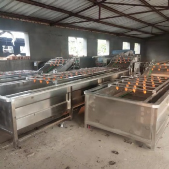不銹鋼果蔬氣泡式清洗機 辣椒清洗機 全自動蔬菜小龍蝦清洗設備