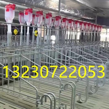 養豬自動喂料設備料線安裝