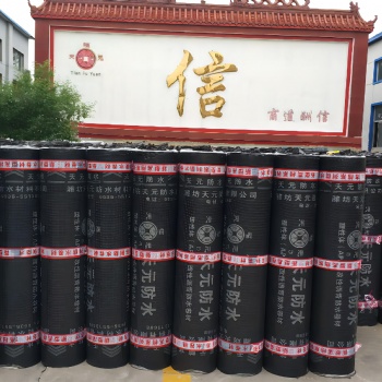 天元防水生產(chǎn)3mm4mm塑性體APP改性瀝青防水卷材APP防水卷材