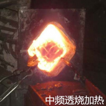 中頻感應(yīng)電爐-【本溪中頻感應(yīng)加熱產(chǎn)品】