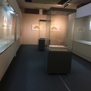 江門私人收藏館全自動展柜-遙控平移門博物館展柜廠