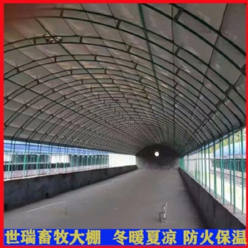 安裝養兔大棚 肉兔棚建設 養驢大棚施工搭建 驢舍大棚建造