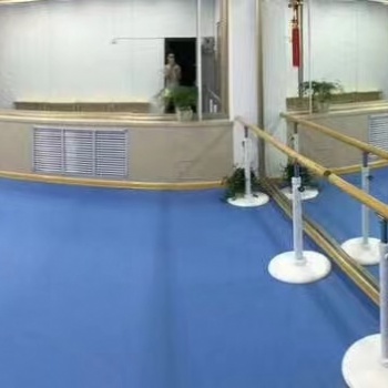 舞蹈室專業地膠 舞蹈房PVC塑膠地板 舞蹈教室地墊 防滑耐磨