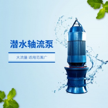 防汛泵站用1000QZB-630KW潛水軸流泵天昊泵業(yè)