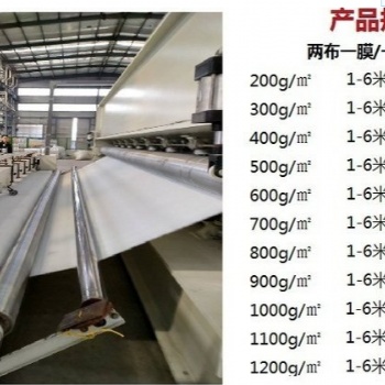 甘肅蓄水池兩布一膜使用規(guī)格，西寧垃圾填埋場防滲土工膜、長絲土工布生產(chǎn)廠家