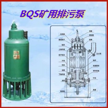 礦山取排水用BQS礦用潛水泵可定制不銹鋼材質(zhì)