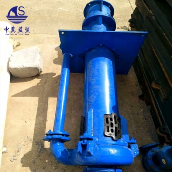 ZJL型渣漿泵立式無堵塞耐磨抽沙泵液下渣漿泵高濃度抽沙泵