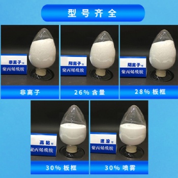 聚丙烯酰胺PAM陰離子陽離子非離子絮凝劑污泥污水洗沙處理藥劑