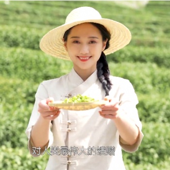 高端服務，溫馨呵護——茶益康