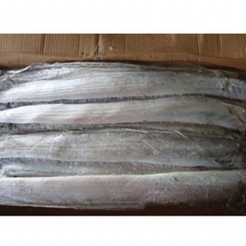 天津進口冷凍帶魚流程