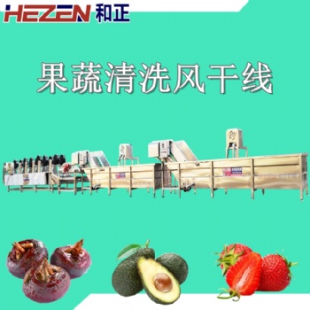 和正機械果蔬氣泡清洗機 去農(nóng)殘蔬菜清洗流水線 火龍果連續(xù)式清洗設(shè)備
