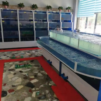 保定鑫德龍水族定制各類魚缸