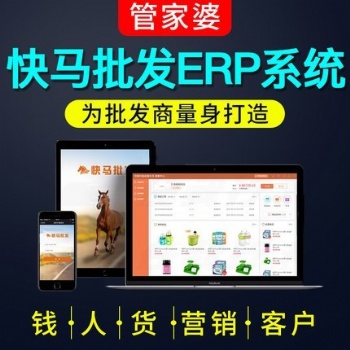 快馬批發(fā)軟件ERP進(jìn)銷存線上微商城