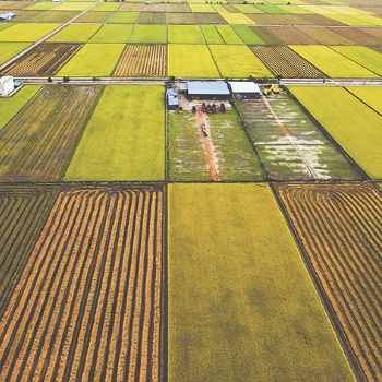 農村土地綜合整治規劃