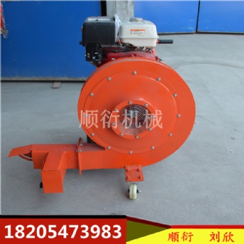 汽油吹風機 圓頭吹風機 手推式馬路吹干機