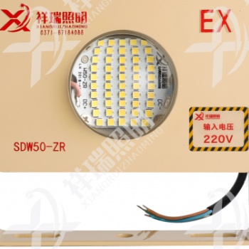 祥瑞照明50W LED隧道燈 型號SDW50-ZR 臺車防爆燈 投光燈