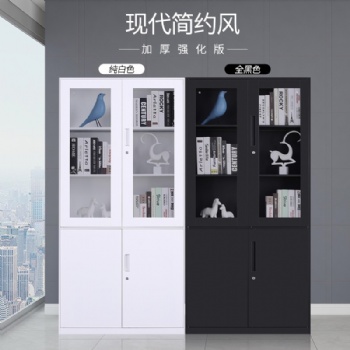 石家莊文件柜、鐵皮文件柜、鋼制文件柜、檔案柜