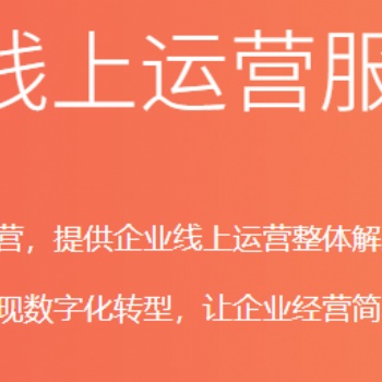 提供中小企業(yè)數(shù)字化轉(zhuǎn)型服務(wù)