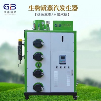 國邦0.1-2T節能鍋爐生物質蒸汽發生器電鍋爐天然氣顆粒燃燒蒸汽機