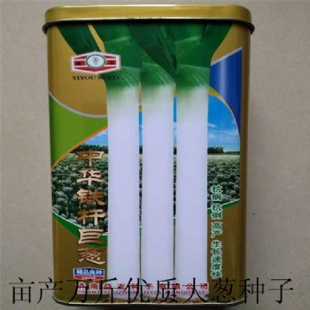 鐵桿巨蔥種子濟南批發 高產抗病大蔥種子 山東蔬菜種子