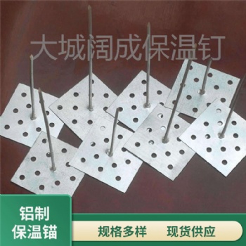 出售精品鋁釘子膠水保溫釘中央空調網孔粘釘鎖片