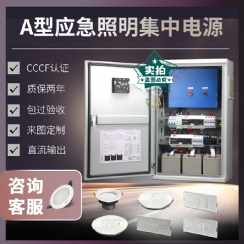 EPS消防a型應急照明集中電源控制器燈具配電箱集控控制型電源箱