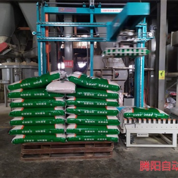 騰陽全自動坐標機器人碼垛機