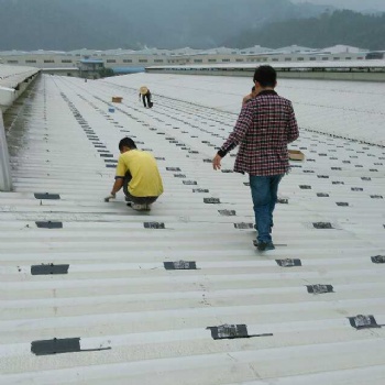 南海區屋面卷材九江彩鋼瓦平房屋頂防水補漏工程公司