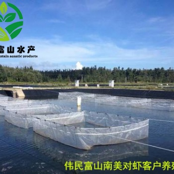 偉民富山南美對(duì)蝦病變預(yù)防