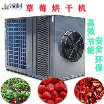 草莓烘干機水果烘干設備家用干燥機