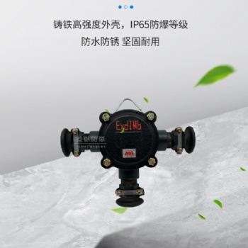 益煤礦用隔爆型低壓電纜接線盒BHD2-40/660(380)-3T通低壓接線端子