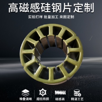 新能源電動(dòng)汽車驅(qū)動(dòng)電機(jī)用電工鋼B3**V1900硅鋼矽鋼 電機(jī)鐵芯定轉(zhuǎn)子加工