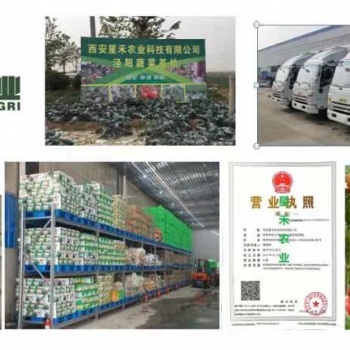 陜西專業給單位食堂配送食材（蔬菜水果米面糧油等）