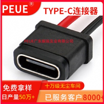TYPE-C 2P防水母座焊線式 帶線 ** H10.0 防水TYPEC母頭